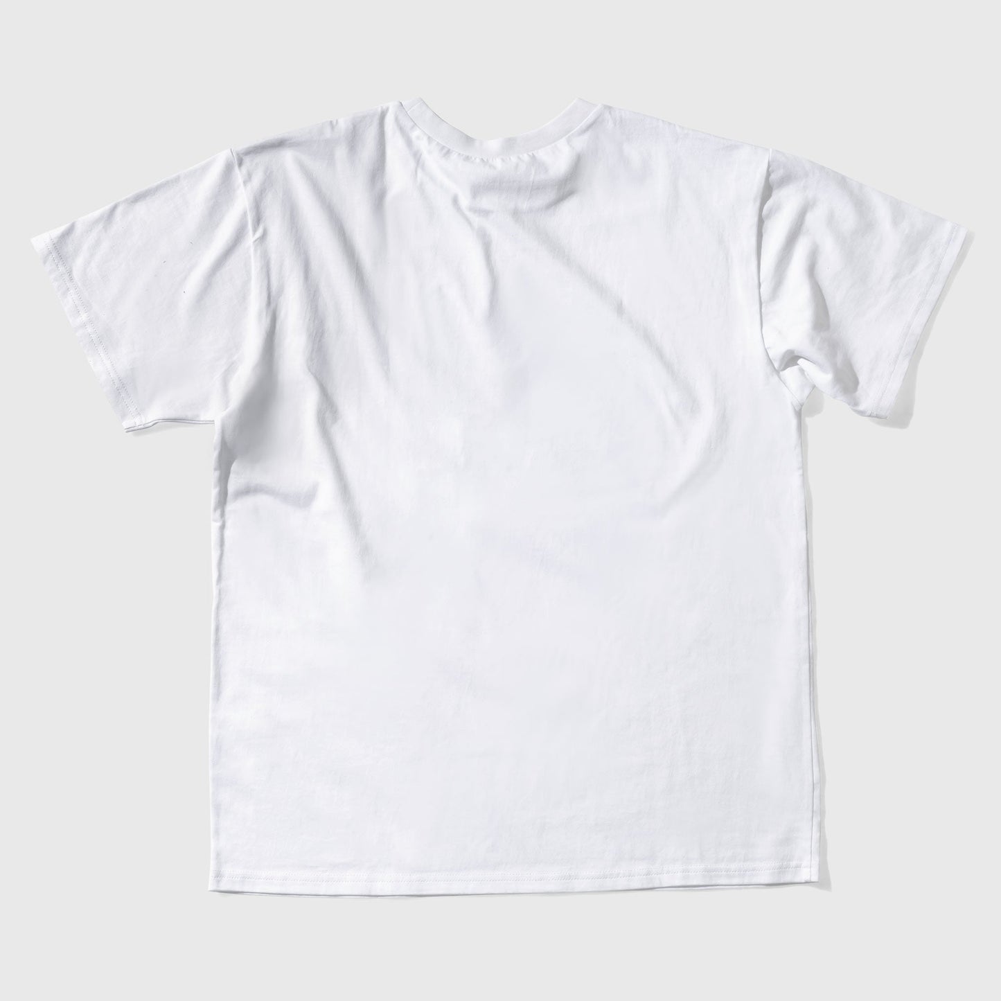 Tシャツ [MAKE HISTORY]　MS040